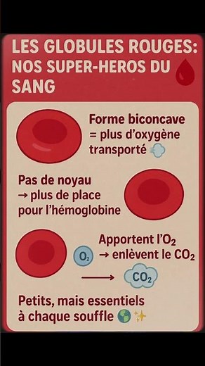 Le globule rouge 😳 #blood