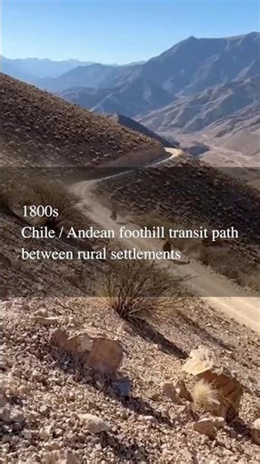 🇨🇱 Chile / Afternoon passage along a mountain foot trail