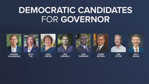 GOP candidates top primary poll as Democrats split vote in governor race