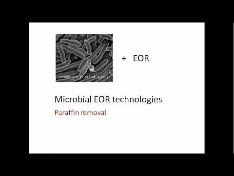 Microbial Enhanced Oil Recovery
