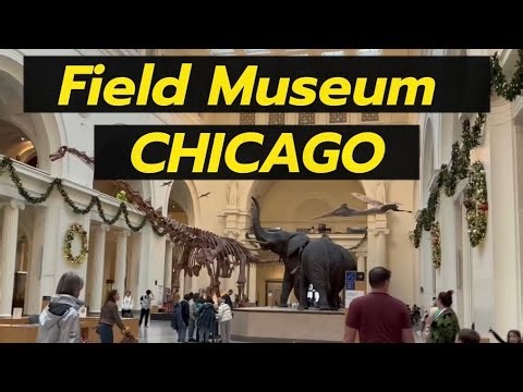 ASMR Field Museum Chicago Tour | Whispering Walkthrough & Ambient Sounds