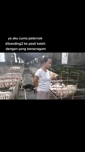 Large-Scale Pig Farming Operations in Rural Areas