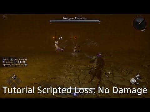 Tokugawa Kunimatsu (Nioh 3): No Damage