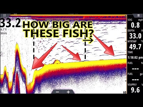 Sonar for Dummies! Fish Finder Explained for BEGINNERS! (L3)