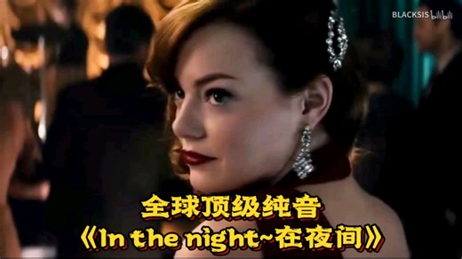 全球顶级纯音《In the night~在夜间》
