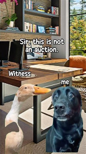 Legal Transcription POV: Fast-Talking Witness