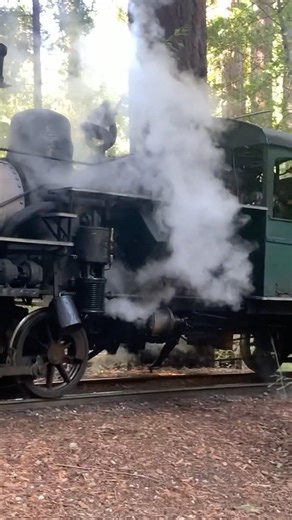 Leaking Steam! Geared Heisler Locomotive With Leaking Valves