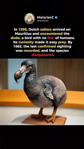 Extinction of the Dodo Bird