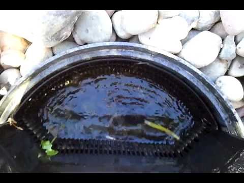 Cleaning the Savio Standard Skimmer Part 1 of 2