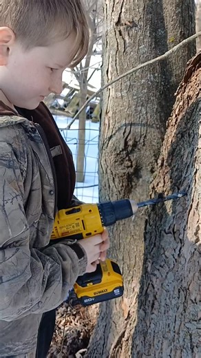 Tapping maple trees was our first homesteading adventure when we moved here 12 years ago. It is a great tradition to get you outside in the winter and it really does help the winter pass quicker. If you have questions I am happy to answer here in the comments or message me!! | Infinite Abundance Farm and Nursery