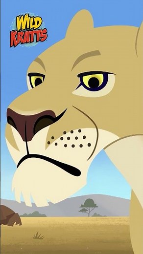 Activate Lion Power! | The Top of the Food Web | Wild Kratts