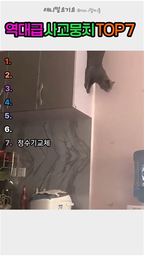 사고뭉치들 TOP7 모아봄 #사고치는동물 #동물영상 #웃긴동물모음