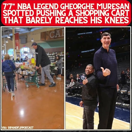 This GIANT Makes A Shopping Cart Look Like A Miniature Toy! 😳 #nba #shorts