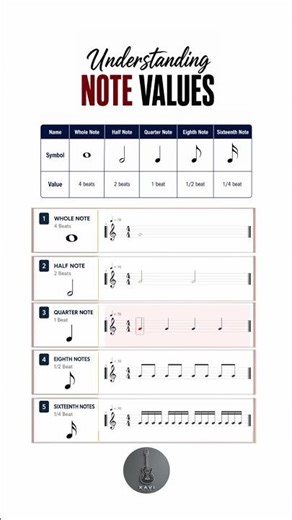 Understanding Note Values | Beginner Rhythm Guide 🎸 #xaviguitar