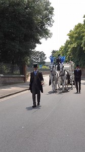69K views · 294 reactions | #beautifulhorses #funeralhorses Sonny Hillier Horse Drawn Carriages | W. Uden & Sons Family Funeral Directors | Facebook