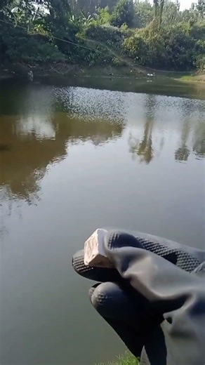 Chemistry experiment power. #shortsvideo #experiment #science #sensor#chemistry #technology#physics