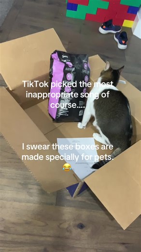@Chewy The unboxing you never knew you needed to see with the music. 😂 #chewy #catsoftiktok