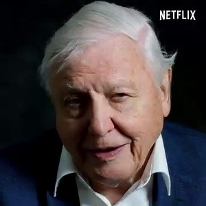 476K views · 10K reactions | After decades studying the living world, David Attenborough is now putting the spotlight on us, offering a powerful message of hope for future generations. David Attenborough: A Life On Our Planet premieres October 4. | Netflix | Facebook