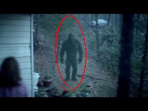 New Disturbing Trail Cam Footage No One Saw Coming