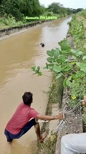 5.8M views · 497K reactions | Ten Unknown Facts About #BMW 1....