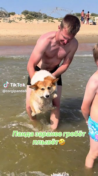 #corgisoftiktok #corgi #corgipuppy #fyp #corgis #корги #смешноевидео #смех #коргиприколы #смешныеживотные #море