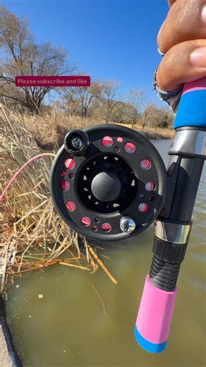 Fishing In Texas on Instagram: "Tips Casting A fly Rod for fly fishing#fishing#viralvideos#shorts#viralvideo#texas"