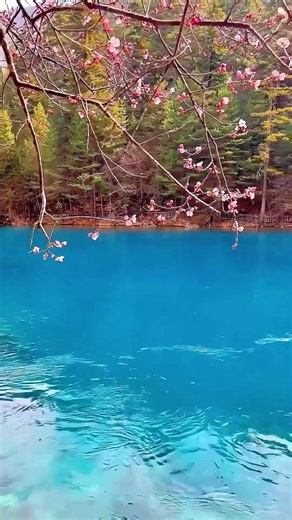 Live update from Jiuzhaigou on March 19, 2026: Today's weather in Jiuzhaigou: Temperature 4-10℃, ...