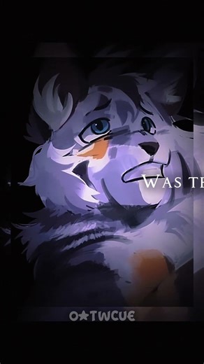 [ #bristlefrost ] edit • Die With A Smile • for ‪@yoshitheoneandonly10‬ edit comp !! • #warriorcats