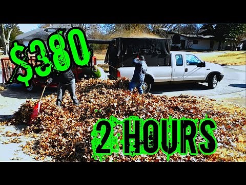 Pricing leaf removal / How i charge for leaf removal