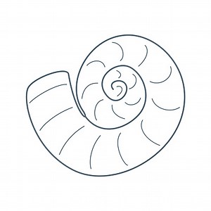 Sea shell, water inhabitant in flat cartoon style. Vector...