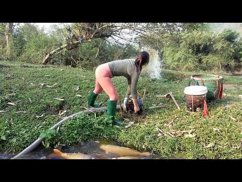How to Catch Fish from a Fish Pond, Interesting Fishing Techniques | Nguyet Fishing