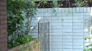 2.1K views · 38 reactions | Owned by the family behind Emerald...