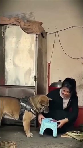 Little helper.. 😊