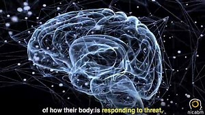 20K views · 253 reactions | How Polyvagal Theory Can Help Clients Regulate A Trauma Response As we know, after trauma, a client's body often holds on to fear. This can make it difficult to be around others as their nervous system is on constant high alert. To change this, we need to help clients become aware of how their body is responding to threat. According to Stephen Porges, PhD, polyvagel theory can help the brain modulate the body's reaction after trauma. | NICABM | Facebook