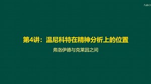 第4讲 【理论坐标】温尼科特在精神分析上的位置 弗洛伊德与克莱因之间