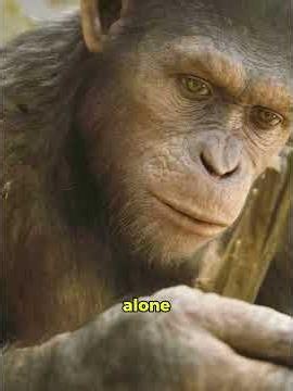 🦍 No one expected to hear this word from a chimp#shorts #movie #sciencefiction