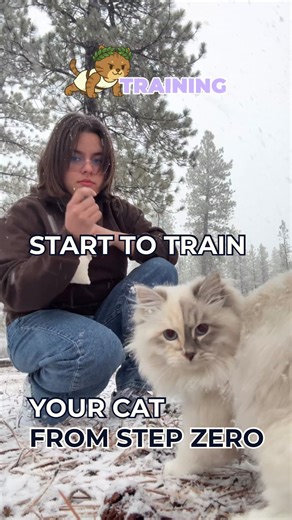 1.6K views | Even Cassy is starting from scratch — perfect for anyone who’s never trained before. Charging the clicker is the first step to everything.  - - #thetempleofwhiskers #cattraining #clickertraining #cats #trainyourcat #felinebehavior #kittytrainer #petparents #catdad #bengalcatlove | The Temple Of Whiskers | Facebook