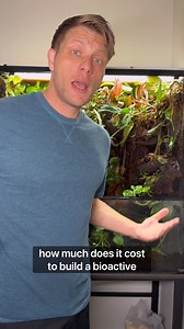 How Much Does It Cost To Build A Bioactive Terrarium or Paludarium? Here’s the Full Breakdown! #fypシ゚viralシfypシ゚ #fbreels #simulatinganecosystem #foryoupage #fyp #terrarium #poisonarrowfrog #terrariums #vivariums #indoorecosystem #indoorgarden #facebookreel #facebookviral #viral #paludarium #indoorplants #plants | Alternateaquatics
