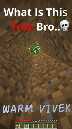 Minecraft tall tree meme🤯