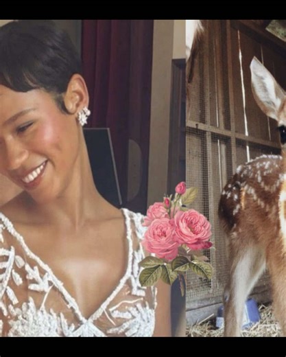 Whimsical Moodboard Ideas Inspired by Taylor Russell