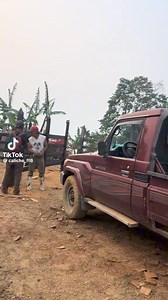 Que rico los nicas za zaza | Lester Blandón