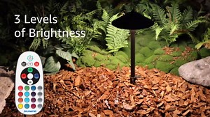 SUNVIE RGBW Low Voltage Landscape Lights 3W Color Changing Pathway Lights 12-24V Multi-Color Path Lights Waterproof for Yard Garden Walkway Holiday Landscape Lighting ETL Listed Cord, 12 Pack