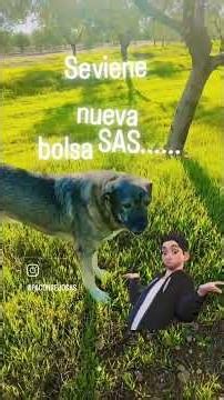 Coming soon....New Sas Stock Exchange 2026