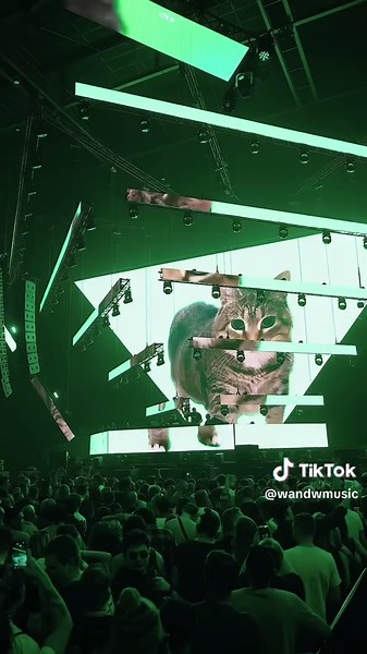 Cat Rave Remix in Amsterdam feat. Ethel