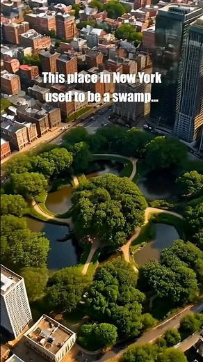How New York Built a Giant Park in the Middle of the City