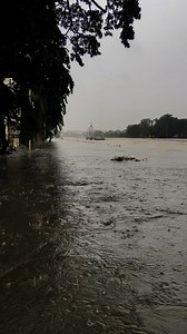 Marikina River Water Level on Reels