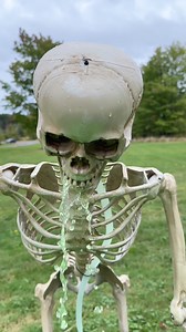 This is why my neighbors hate me😆(halloween diy) Hilarious #halloween #diy will turn some heads this year! This original video was produced by Network Media; Leon & LaCongo | Crafts Hacks and Laughs