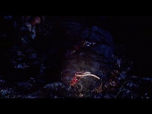 Predator (Хищник) - Mac In Ambush (The Pig Scene)