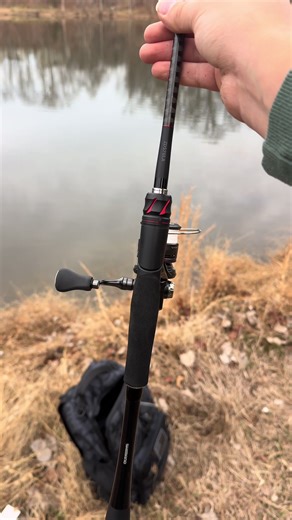 Shimano Fishing Reel Overview and Features