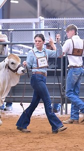 11K views · 290 reactions | Congratulations to Providence Ezell on your multiple wins at the 2025 All American! You did an outstanding job both as a showman and an owner. Wishing you continued success in the upcoming shows—this is just the beginning! | The Brahman Journal | Facebook